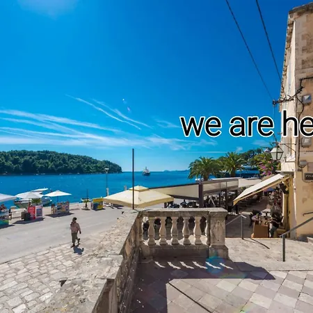 La Porta 3,seaview In The Center Apartment Cavtat